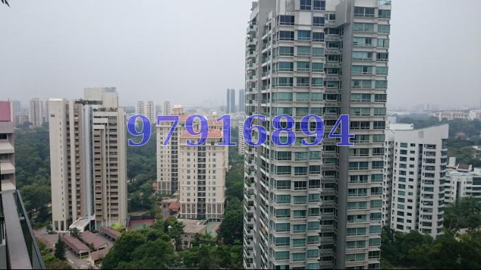 The Trizon (D10), Condominium #65992552